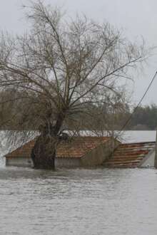 cheias em montemor-o-velho